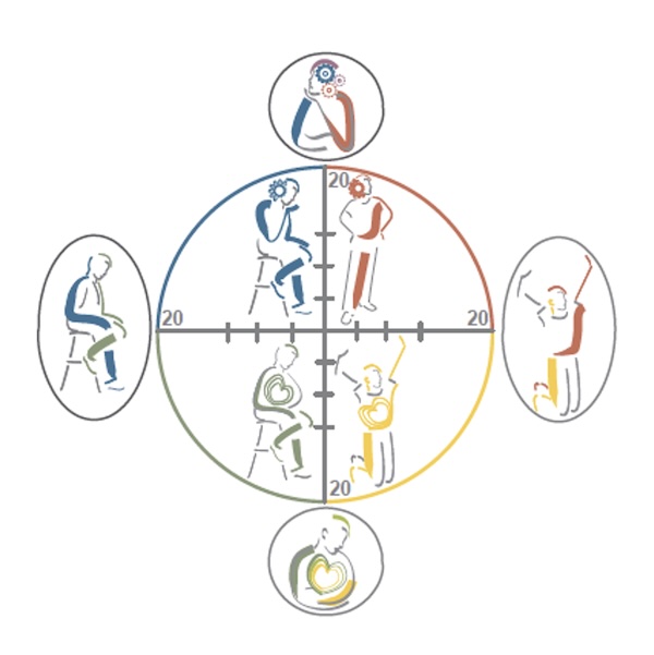 Preferencias de Jung Insights Discovery